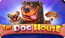 Gxmble – The Dog House